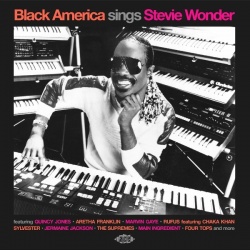 Black America sings Stevie Wonder (CD)