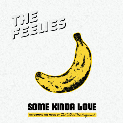 Some kinda love (cd) : performing the music of The Velvet Underground (cd)