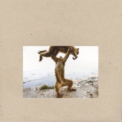 Dude Incredible (lp)