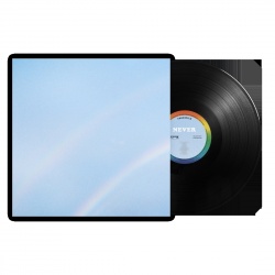 Never Enough (lp)