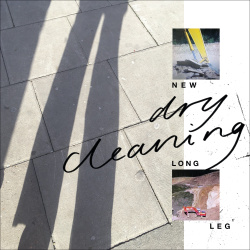 New Long Leg (lp)