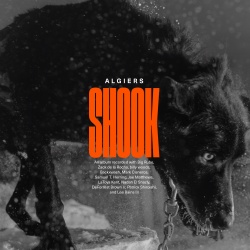 Shook (Gold Vinyl) (2lp)