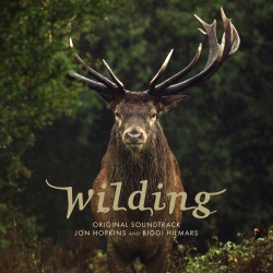 Wilding (cd) : original soundtrack