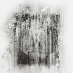 Fluorescent Grey (CD)