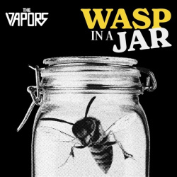 Wasp in a Jar (CD)