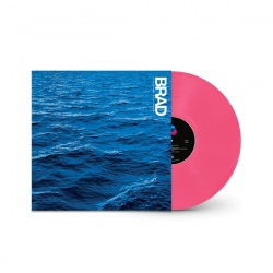 In The Moment That You're Born (LP)