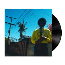 Moving Day (LP)