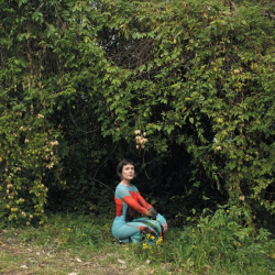 Molasses (LP)