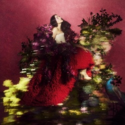 Superbloom  (lp)