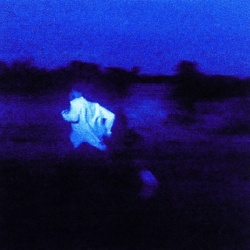 Never Enough (CD)