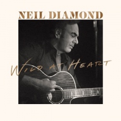 Wild at heart (cd)