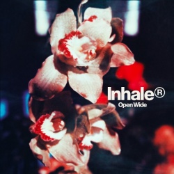 Open Wide  (lp)
