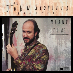 Meant To Be (2lp)