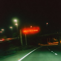 and i'd do it again (LP)
