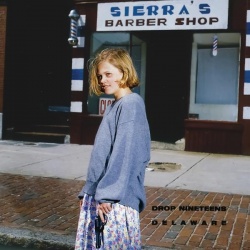Delaware (CD)