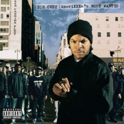 Amerikkkas Most Wanted (cd)