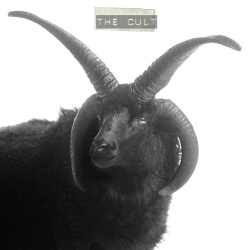 The Cult (2lp)