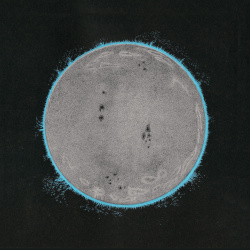 Vibe Killer (cd)