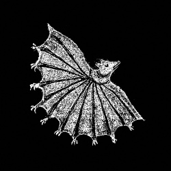 Ignore grief (cd)