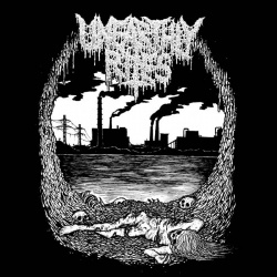 Ecdysis (cd)