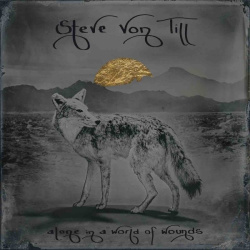 Alone In A World Of Wounds (lp)