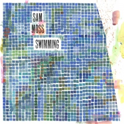 Swimming (LP)