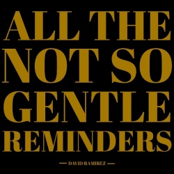 All The Not So Gentle Reminders (2LP)