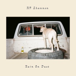 Rain On Dust (Ltd Coke Bottle Green (lp)