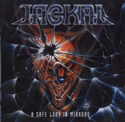 Safe Look In Mirrors (LP)