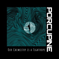 Our Chemistry Is A Tightrope (LP)