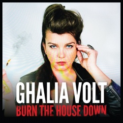 Burn the house down (cd)