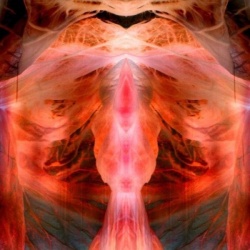 The Annihilating Angel; Or, the Surface of the World (LP)