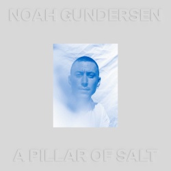 A Pillar of Salt (White Vinyl) (2lp)