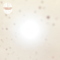There's A Riot Going On (lp)