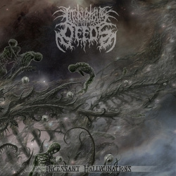Incessant Hallucinations (CD)