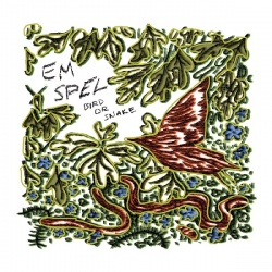 Bird Or Snake (LP)