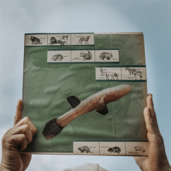 The River Strummin (LP)