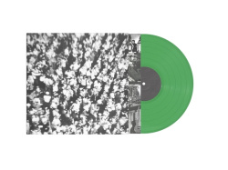 Popfly (LP)
