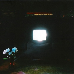 Does It Look Like I'm Here? (2CD)