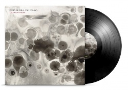 Understories (LP)