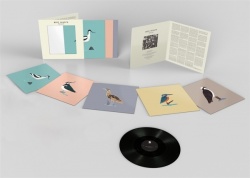 Avocet -ltd- (LP-levy)