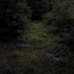 Higher Lonely Power (cloudy Black) (LP)
