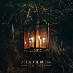 DIG DEEP (cd)