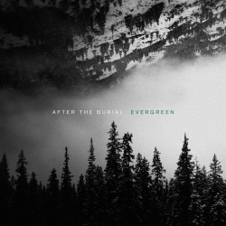 Evergreen (lp)