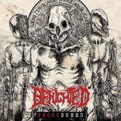 Necrobreed (cd)