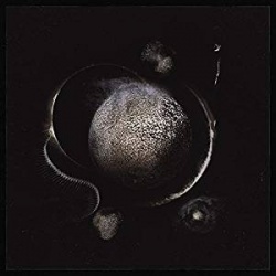 Cold Black Suns (digipak cd)