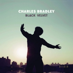 Black Velvet (cd)