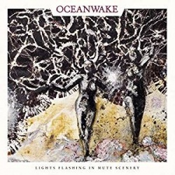 Lights Flashing In Mute Scenery (digipak cd)