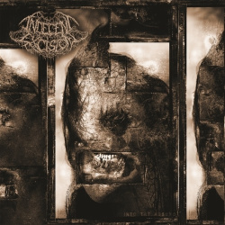 Into the Absurd (CD)