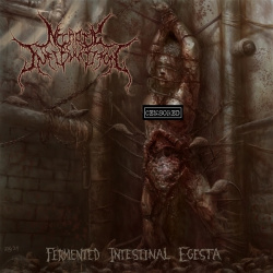 Fermented Intestinal Egesta (CD)